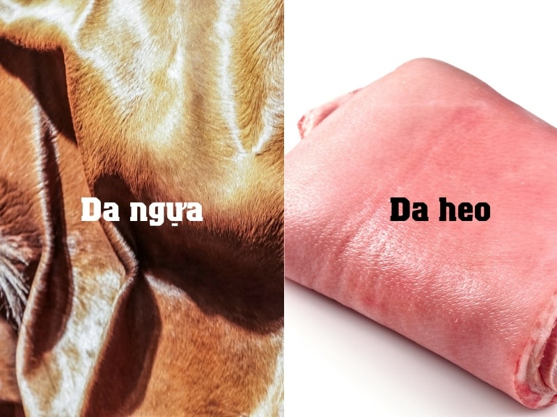 Phân biệt da thật và da giả (9)
