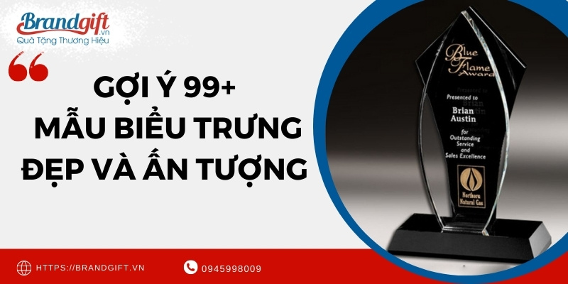 bieu-trung-an-tuong