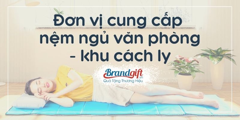 cung-cap-nem-ngu-van-phong-banner