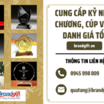 cung-cap-ky-niem-chuong-cup-vinh-danh-gia-tot-avatar