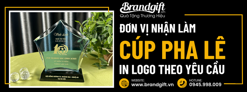don-vi-nhan-lam-cup-pha-le-in-logo-16-11