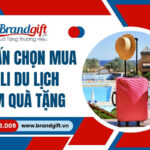 tu-van-chon-mua-vali-du-lich-13-11