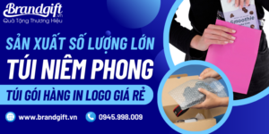 tui-niem-phong-tui-goi-hang-in-logo-1