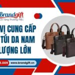 cung-cap-cap-tui-da-nam-in-logo-so-luong-lon-16-11