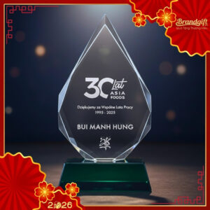 bieu-trung-pha-le-qua-tang-in-logo-dang-ngon-lua-de-xanh-ngoc-knc-05