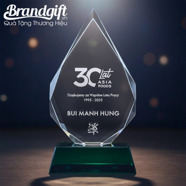 bieu-trung-pha-le-qua-tang-in-logo-dang-ngon-lua-de-xanh-ngoc-knc-05 (2) bieu-trung-pha-le-qua-tang-in-logo-dang-ngon-lua-de-xanh-ngoc-knc-05