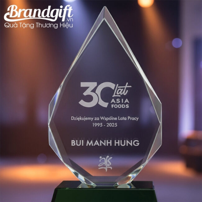 bieu-trung-pha-le-qua-tang-in-logo-dang-ngon-lua-de-xanh-ngoc-knc-05 (5) bieu-trung-pha-le-qua-tang-in-logo-dang-ngon-lua-de-xanh-ngoc-knc-05