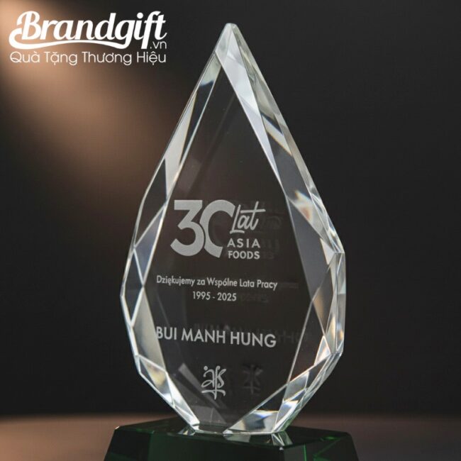 bieu-trung-pha-le-qua-tang-in-logo-dang-ngon-lua-de-xanh-ngoc-knc-05 (6) bieu-trung-pha-le-qua-tang-in-logo-dang-ngon-lua-de-xanh-ngoc-knc-05