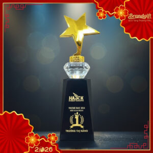 cup-ky-niem-pha-le-in-logo-qua-tang-dang-ngoi-sao-dinh-kim-cuong-knc-09