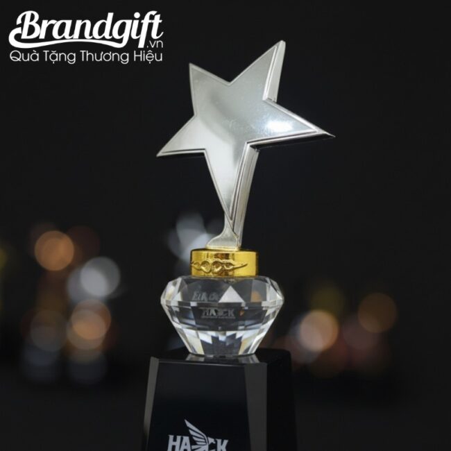 cup-ky-niem-pha-le-in-logo-qua-tang-dang-ngoi-sao-dinh-kim-cuong-knc-09 (11) cup-ky-niem-pha-le-in-logo-qua-tang-dang-ngoi-sao-dinh-kim-cuong-knc-09