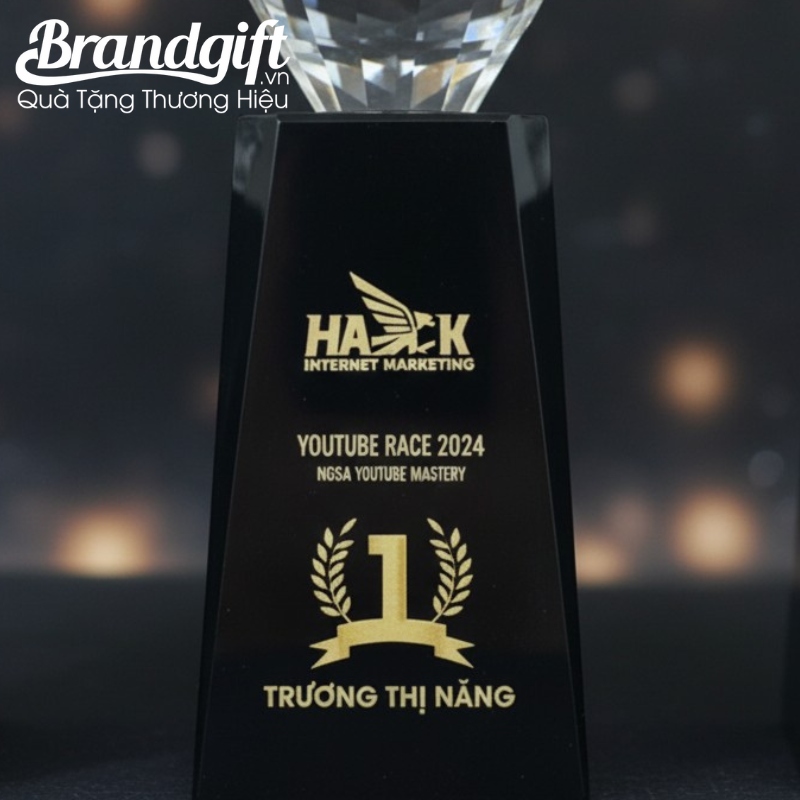 cup-ky-niem-pha-le-in-logo-qua-tang-dang-ngoi-sao-dinh-kim-cuong-knc-09