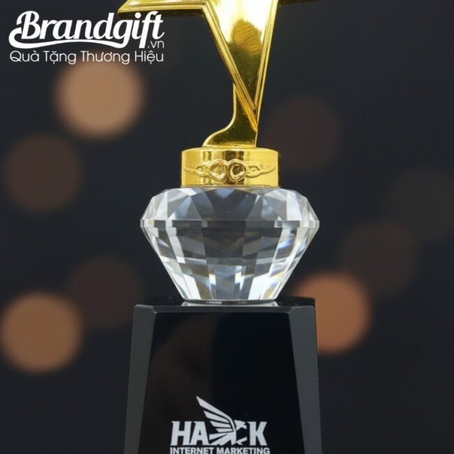 cup-ky-niem-pha-le-in-logo-qua-tang-dang-ngoi-sao-dinh-kim-cuong-knc-09 (13) cup-ky-niem-pha-le-in-logo-qua-tang-dang-ngoi-sao-dinh-kim-cuong-knc-09