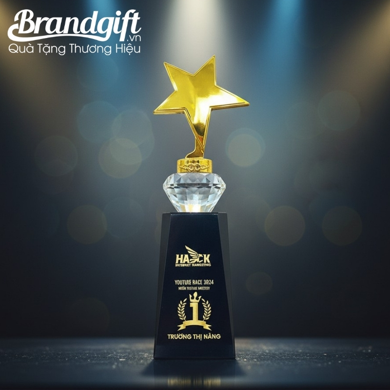 cup-ky-niem-pha-le-in-logo-qua-tang-dang-ngoi-sao-dinh-kim-cuong-knc-09