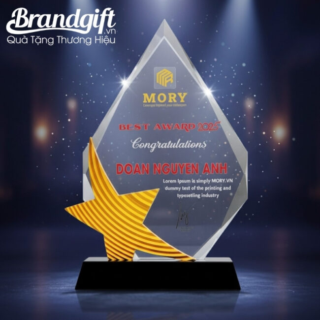 cup-ky-niem-pha-le-in-logo-qua-tang-hoa-tiet-ngoi-sao-vang-knc-03 (2) cup-ky-niem-pha-le-in-logo-qua-tang-hoa-tiet-ngoi-sao-vang-knc-03