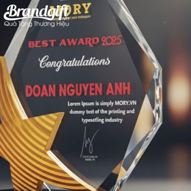 cup-ky-niem-pha-le-in-logo-qua-tang-hoa-tiet-ngoi-sao-vang-knc-03 (7) cup-ky-niem-pha-le-in-logo-qua-tang-hoa-tiet-ngoi-sao-vang-knc-03