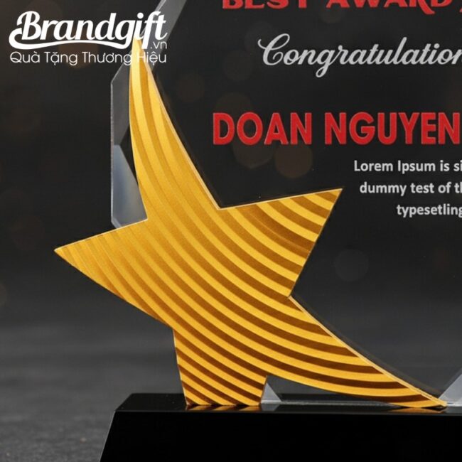 cup-ky-niem-pha-le-in-logo-qua-tang-hoa-tiet-ngoi-sao-vang-knc-03 (8) cup-ky-niem-pha-le-in-logo-qua-tang-hoa-tiet-ngoi-sao-vang-knc-03