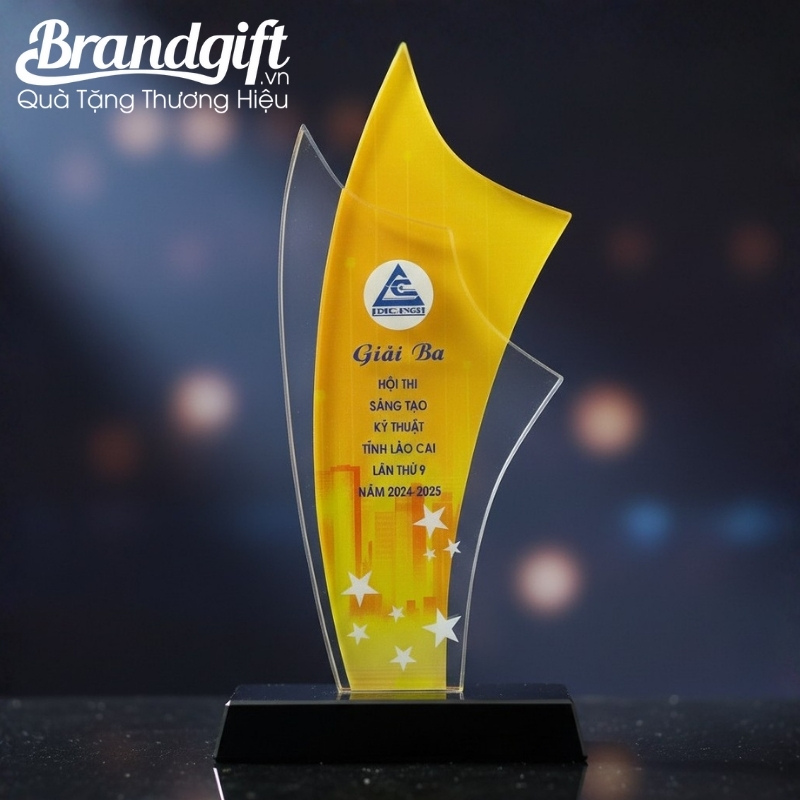 ky-niem-chuong-pha-le-qua-tang-in-logo-dang-canh-buom-vang-knc-04