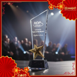 ky-niem-chuong-pha-le-qua-tang-in-logo-dang-cup-ngoi-sao-vang-knc-01