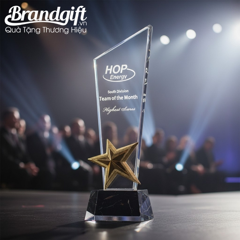 ky-niem-chuong-pha-le-qua-tang-in-logo-dang-cup-ngoi-sao-vang-knc-01