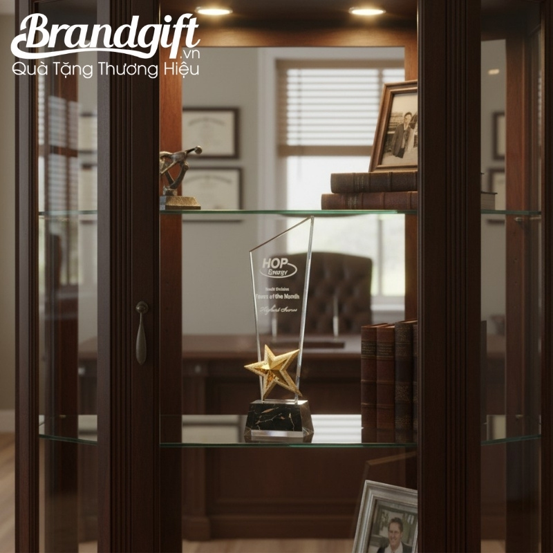 ky-niem-chuong-pha-le-qua-tang-in-logo-dang-cup-ngoi-sao-vang-knc-01