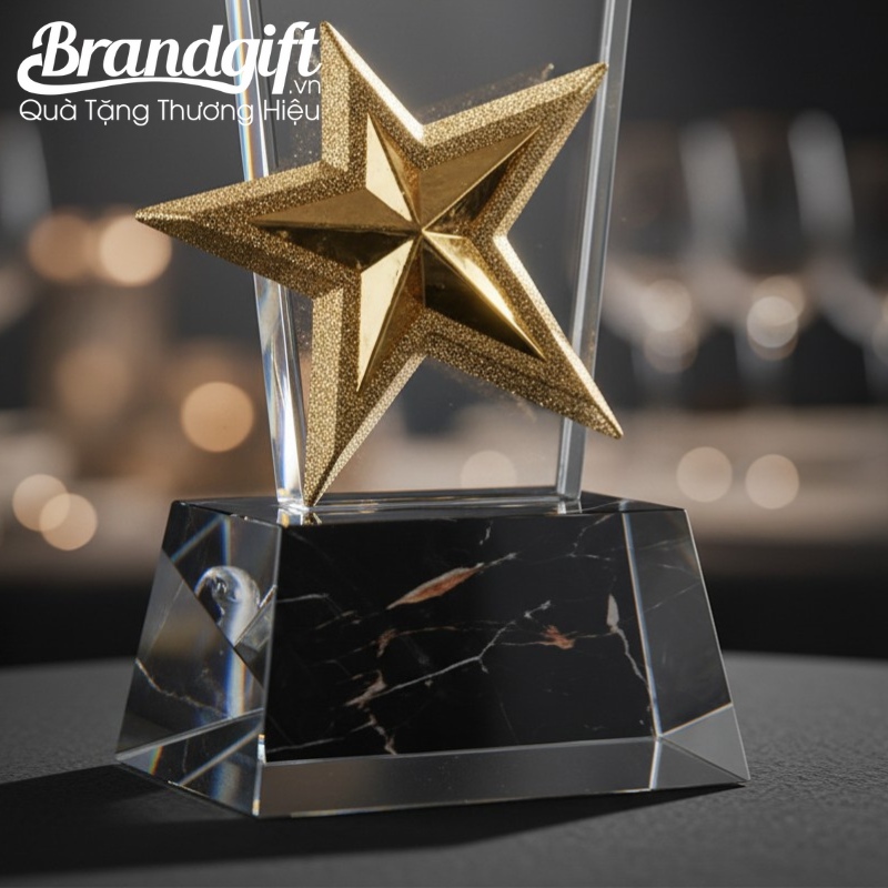 ky-niem-chuong-pha-le-qua-tang-in-logo-dang-cup-ngoi-sao-vang-knc-01