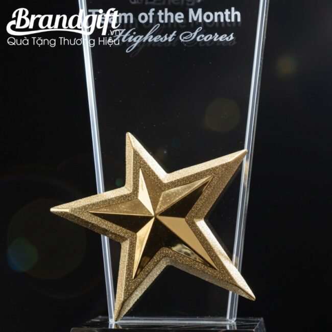 ky-niem-chuong-pha-le-qua-tang-in-logo-dang-cup-ngoi-sao-vang-knc-01 (8) ky-niem-chuong-pha-le-qua-tang-in-logo-dang-cup-ngoi-sao-vang-knc-01